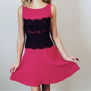 Ann Taylor Loft Pink and Black Lace Fit and Flare Cocktail Dress